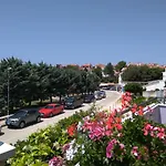 Viola 4*