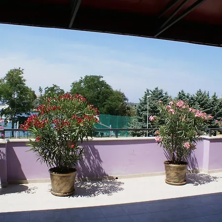 Aparthotel Viola 4*