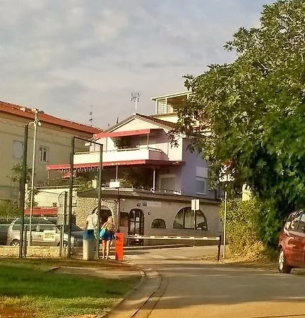 Viola Pjescana Uvala