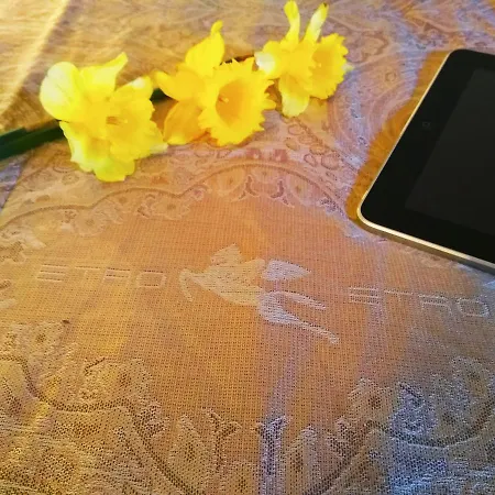 Viola 4* Pjescana Uvala