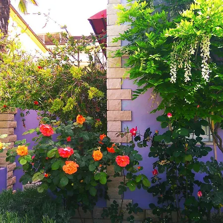 Viola Appart hôtel Pjescana Uvala