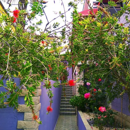 Apartmanhotel Viola