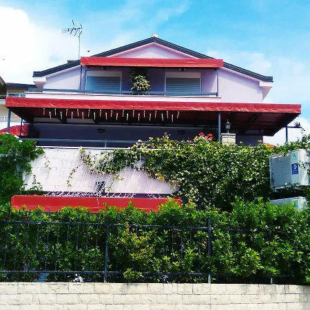 Viola بيشكانا أوفالا