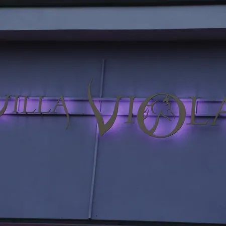 Viola Pjescana Uvala