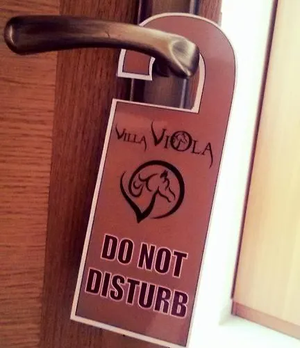 维欧拉公寓式酒店 4* 普耶斯察纳乌瓦拉