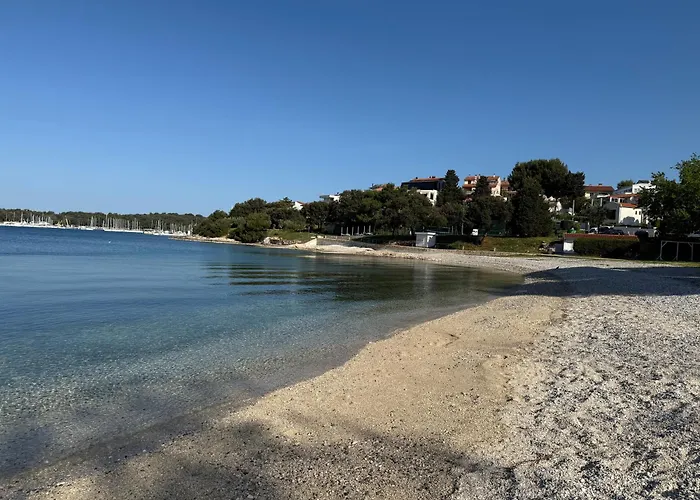 维欧拉公寓式酒店 公寓式酒店