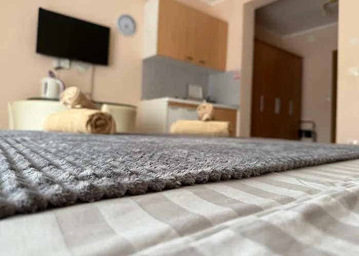 维欧拉公寓式酒店 公寓式酒店 4*