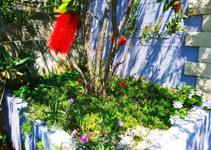 维欧拉公寓式酒店