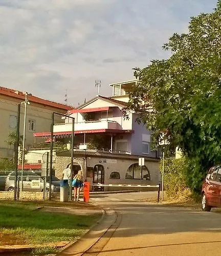 Viola פיישצ'נה אובלה