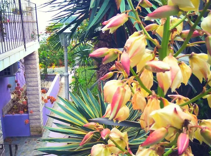 מלון דירות Viola 4*